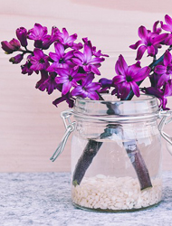 手机号连环呼叫软件