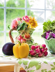 网页版短信攻击